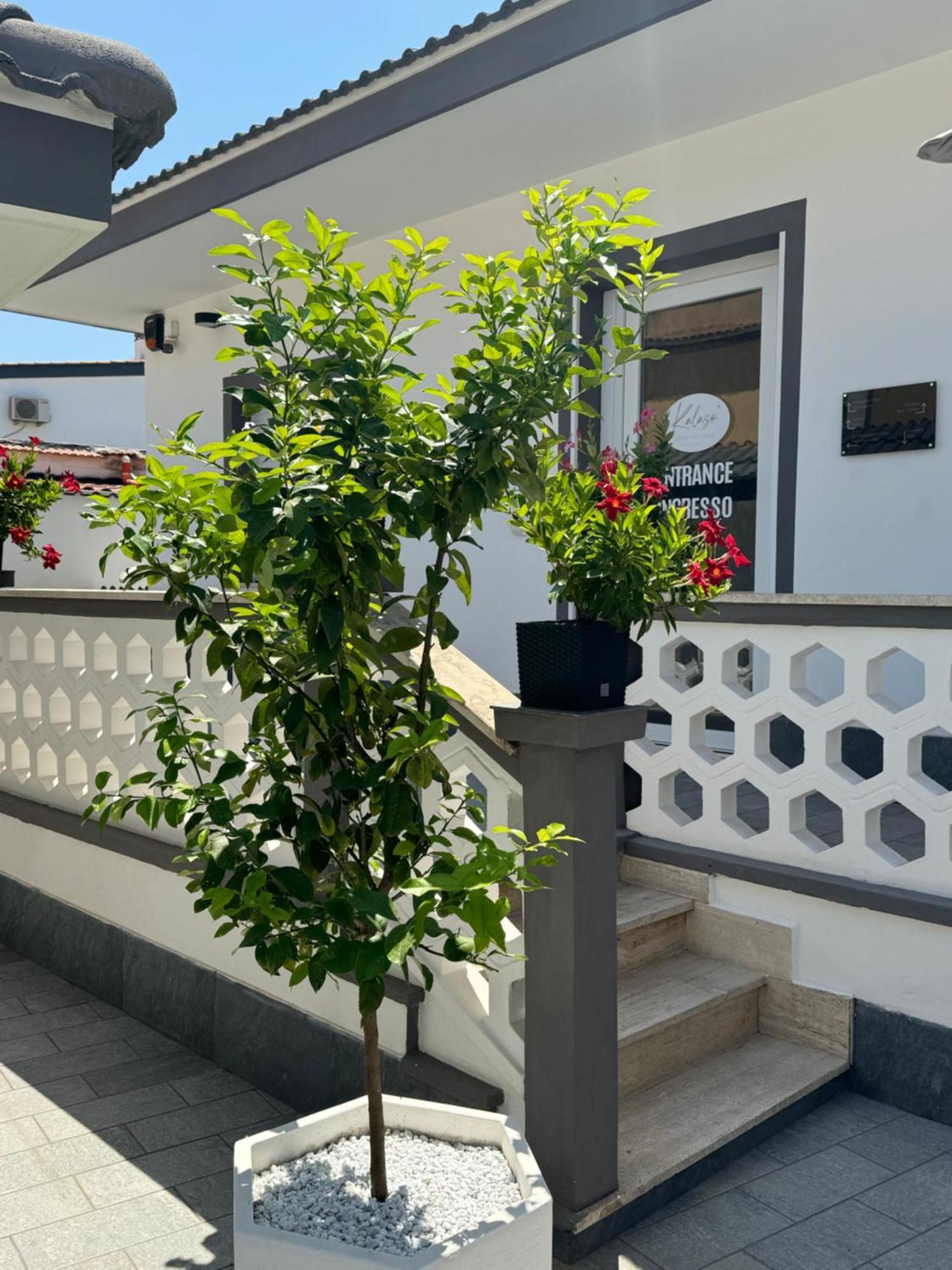 Kalaso Design Guest House - Rome Airport Φιουμιτσίνο Εξωτερικό φωτογραφία